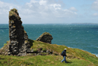 Exposures of Ross Formation in the cliffs at Leck Point in vicinity of the ruins of the Castle west and south of Drom in Co Kerry (Pyles, 2007). These Namurian outcrops turbiditic sands can be accessed by road and across the cow pastures at Drom.