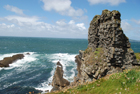 Exposures of Ross Formation in the cliffs at Leck Point in vicinity of the ruins of the Castle west and south of Drom in Co Kerry (Pyles, 2007). These Namurian outcrops turbiditic sands can be accessed by road and across the cow pastures at Drom.