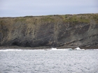 Exposures of Lower to Middle Ross Formation in the cliffs west and south of Drom in Co Kerry. These Namurian outcrops are south of Kilconly best seen from the Shannon Estuary. The depositional setting is expressed by the turbiditic sands of the cliffs(Rider, 1969, Martinsen, 1989; and Pyles, 2007).