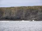 Exposures of Lower to Middle Ross Formation in the cliffs west and south of Drom in Co Kerry. These Namurian outcrops are south of Kilconly best seen from the Shannon Estuary. The depositional setting is expressed by the turbiditic sands of the cliffs(Rider, 1969, Martinsen, 1989; and Pyles, 2007).