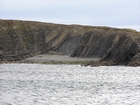 Exposures of Ross Formation in the cliffs west and south of Drom in Co Kerry. These Namurian outcrops turbiditic sands extend south east from the ruined Castle at Leck Point and are best seen from the Shannon Estuary (Rider, 1969, Martinsen, 1989; and Pyles, 2007).