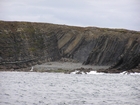 Exposures of Ross Formation in the cliffs west and south of Drom in Co Kerry. These Namurian outcrops turbiditic sands extend south east from the ruined Castle at Leck Point and are best seen from the Shannon Estuary (Rider, 1969, Martinsen, 1989; and Pyles, 2007).