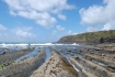 Exposures of Ross Formation in cliffs at Leck Point with its ruined Castle west and south of Drom in Co Kerry (Pyles, 2007). These Namurian outcrops of turbiditic sands are accessed by road and then a gulley to the beach through the cow pastures at Drom.