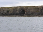 Exposures of Ross Formation in the cliffs west and south of Drom in Co Kerry. These Namurian outcrops turbiditic sands extend south east from the ruined Castle at Leck Point and are best seen from the Shannon Estuary (Rider, 1969, Martinsen, 1989; and Pyles, 2007).