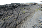 Exposures of Ross Formation in cliffs at Leck Point with its ruined Castle west and south of Drom in Co Kerry (Pyles, 2007). These Namurian outcrops of turbiditic sands are accessed by road and then a gulley to the beach through the cow pastures at Drom.