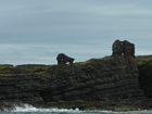 Exposures of Ross Formation in the cliffs at Leck Point in vicinity of the ruins of the Castle west and south of Drom in Co Kerry (Pyles, 2007). These Namurian outcrops turbiditic sands can be accessed by road and across the cow pastures at Drom.