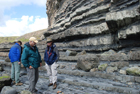 Exposures of Ross Formation in cliffs at Leck Point with its ruined Castle west and south of Drom in Co Kerry (Pyles, 2007). These Namurian outcrops of turbiditic sands are accessed by road and then a gulley to the beach through the cow pastures at Drom.