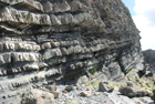 Exposures of Ross Formation in cliffs at Leck Point with its ruined Castle west and south of Drom in Co Kerry (Pyles, 2007). These Namurian outcrops of turbiditic sands are accessed by road and then a gulley to the beach through the cow pastures at Drom.