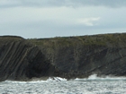 Exposures of Ross Formation in the cliffs northwest of Drom in Co Kerry. These Namurian outcrops turbiditic sands extend northwest from the ruined Castle at Leck Point and are best seen from the Shannon Estuary (Rider, 1969, Martinsen, 1989; and Pyles, 2007).