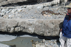 Exposures of Ross Formation in cliffs at Leck Point with its ruined Castle west and south of Drom in Co Kerry (Pyles, 2007). These Namurian outcrops of turbiditic sands are accessed by road and then a gulley to the beach through the cow pastures at Drom.