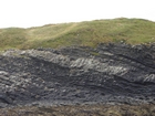 Exposures of Ross Formation in the cliffs northwest of Drom in Co Kerry. These Namurian outcrops turbiditic sands extend northwest from the ruined Castle at Leck Point and are best seen from the Shannon Estuary (Rider, 1969, Martinsen, 1989; and Pyles, 2007).