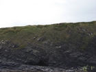 Exposures of Ross Formation in the cliffs northwest of Drom in Co Kerry. These Namurian outcrops turbiditic sands extend northwest from the ruined Castle at Leck Point and are best seen from the Shannon Estuary (Rider, 1969, Martinsen, 1989; and Pyles, 2007).