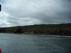 Exposures of Ross Formation in the cliffs northwest of Drom in Co Kerry. These Namurian outcrops turbiditic sands extend northwest from the ruined Castle at Leck Point and are best seen from the Shannon Estuary (Rider, 1969, Martinsen, 1989; and Pyles, 2007).