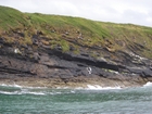 Exposures of Ross Formation in the cliffs northwest of Drom in Co Kerry. These Namurian outcrops turbiditic sands extend northwest from the ruined Castle at Leck Point and are best seen from the Shannon Estuary (Rider, 1969, Martinsen, 1989; and Pyles, 2007).