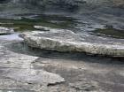 Ledge exposing the slumped Ross Slide of Gill (1954) and also described as a series of sedimentary slumped features by Strachen (2002).