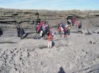 Ledge exposing the slumped Ross Slide of Gill (1954) and also described as a series of sedimentary slumped features by Strachen (2002).