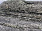 Portion of winged channelized turbidite from Upper Carboniferous Ross Sandstone formation, Western Ireland (Ellliot 2000 a)