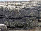 Portion of winged channelized turbidite from Upper Carboniferous Ross Sandstone formation, Western Ireland (Ellliot 2000 a)