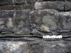 North Ross Point exposures of the bedded Ross Formation sandstones that overly the slumped Ross Slide of Gill (1954). Lower surfaces of sandstones immediately above shale parting show dewatering fabrics.