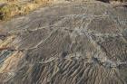 Rippled suface in deltaic sediments of the Namurian Tullig Formation. Just west of Golf course south of Kilkee.