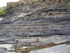 Condensed deeper water sections with Goniatite fauna in the Ross Formation of Dunmore Bay