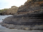 Condensed deeper water sections with Goniatite fauna in the Ross Formation of Dunmore Bay