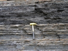 Condensed deeper water sections with Goniatite fauna in the Ross Formation of Dunmore Bay