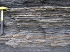 Condensed deeper water sections with Goniatite fauna in the Ross Formation of Dunmore Bay