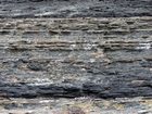 Condensed deeper water sections with Goniatite fauna in the Ross Formation of Dunmore Bay