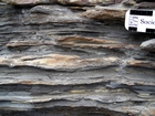 Condensed deeper water sections with Goniatite fauna in the Ross Formation of Dunmore Bay