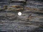 Condensed deeper water sections with Goniatite fauna in the Ross Formation of Dunmore Bay