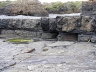 Megaflute fill in the sandier section below the condensed deeper water sections with Goniatite fauna in the Ross Formation of Dunmore Bay