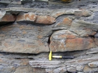 Soft sediment deformation in the sandy sections below the condensed deeper water sections with Goniatite fauna in the Ross Formation of Dunmore Bay