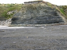 Pleistocene glacial heave in the overburden above the condensed deeper water sections with Goniatite fauna in the Ross Formation of Dunmore Bay