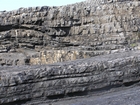 Fisherman's Point exposing Namurian deepwater sediments. Note the cut and fill of channeled Ross Formation on the flank of the coastal monocline.