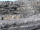 Fisherman's Point exposing Namurian deepwater sediments. Note the cut and fill of channeled Ross Formation on the flank of the coastal monocline.