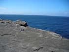 Bedding plane exposed at Fisherman's Point in the deepwater sediments of Ross Formation.