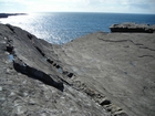 Bedding plane at Fisherman's Point in the deepwater sediments of Ross Formation.