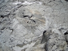 Exposures of a bedding plane surface in the Upper Carboniferous Ross Sandstone in which sand volcanoes overly local slumps of the deepwater sediment close to at Fisherman's Point. Volcanoes are built by sands transported by water released when the slide compacted beneath its own weight. Flank slopes reach 15° (Gill & Kuenen, 1958) with slightly concave outer slopes exhibiting flow runnels and ridges down the flanks with a central sand filledcrater (Strachen, 2002).