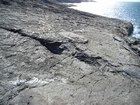 Exposures of a bedding plane surface in the Upper Carboniferous Ross Sandstone in which sand volcanoes overly local slumps of the deepwater sediment close to at Fisherman's Point. Volcanoes are built by sands transported by water released when the slide compacted beneath its own weight. Flank slopes reach 15° (Gill & Kuenen, 1958) with slightly concave outer slopes exhibiting flow runnels and ridges down the flanks with a central sand filledcrater (Strachen, 2002).