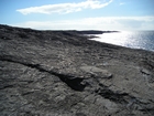 Exposures of a bedding plane surface in the Upper Carboniferous Ross Sandstone in which sand volcanoes overly local slumps of the deepwater sediment close to at Fisherman's Point. Volcanoes are built by sands transported by water released when the slide compacted beneath its own weight. Flank slopes reach 15° (Gill & Kuenen, 1958) with slightly concave outer slopes exhibiting flow runnels and ridges down the flanks with a central sand filledcrater (Strachen, 2002).