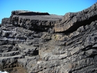 Fisherman's Point exposing Namurian deepwater sediments. Note the cut and fill of channeled Ross Formation on the flank of the coastal monocline.