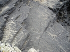 Exposures of rippled on bedding plane surfaces of the deepwater sediment of the Upper Carboniferous Ross Sandstone close to at Fisherman's Point.