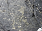 Exposures of rippled on bedding plane surfaces of the deepwater sediment of the Upper Carboniferous Ross Sandstone close to at Fisherman's Point.