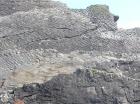 Bedding plane of Gull Island Formation showing rippled surface.