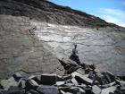 Bedding plane surfaces of Gull Island Formation showing a variety of features on surface including ripples and goniatite fossils.