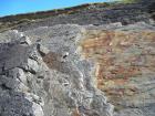 Bedding plane surfaces of Gull Island Formation showing a variety of features on surface including ripples and goniatite fossils.