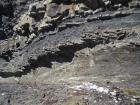 Disrupted beds of channelled sands and silty muds of Gull Island Formation whose bedding plane partings have a variety of features on their surfaces including ripples and goniatite fossils.