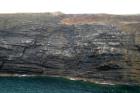 Cliff of Gull Island Formation composed of mixed channel sands and lobes and large deformational structures interpreted to have been transported downslope from a deltaic source above. Note largeslump filled channel cut into rhythmic slope deposits of silt and mud.