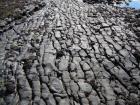 Wave cut platform incised into the jointed Ross Formation sandstones exposed on the foreshore of Kilbaha Bay.